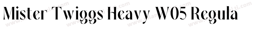 Mister Twiggs Heavy W05 Regular字体转换